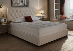 Functional Elegance  Bed with 2 Drawers, Fabric Finish, and 3-Year Warranty